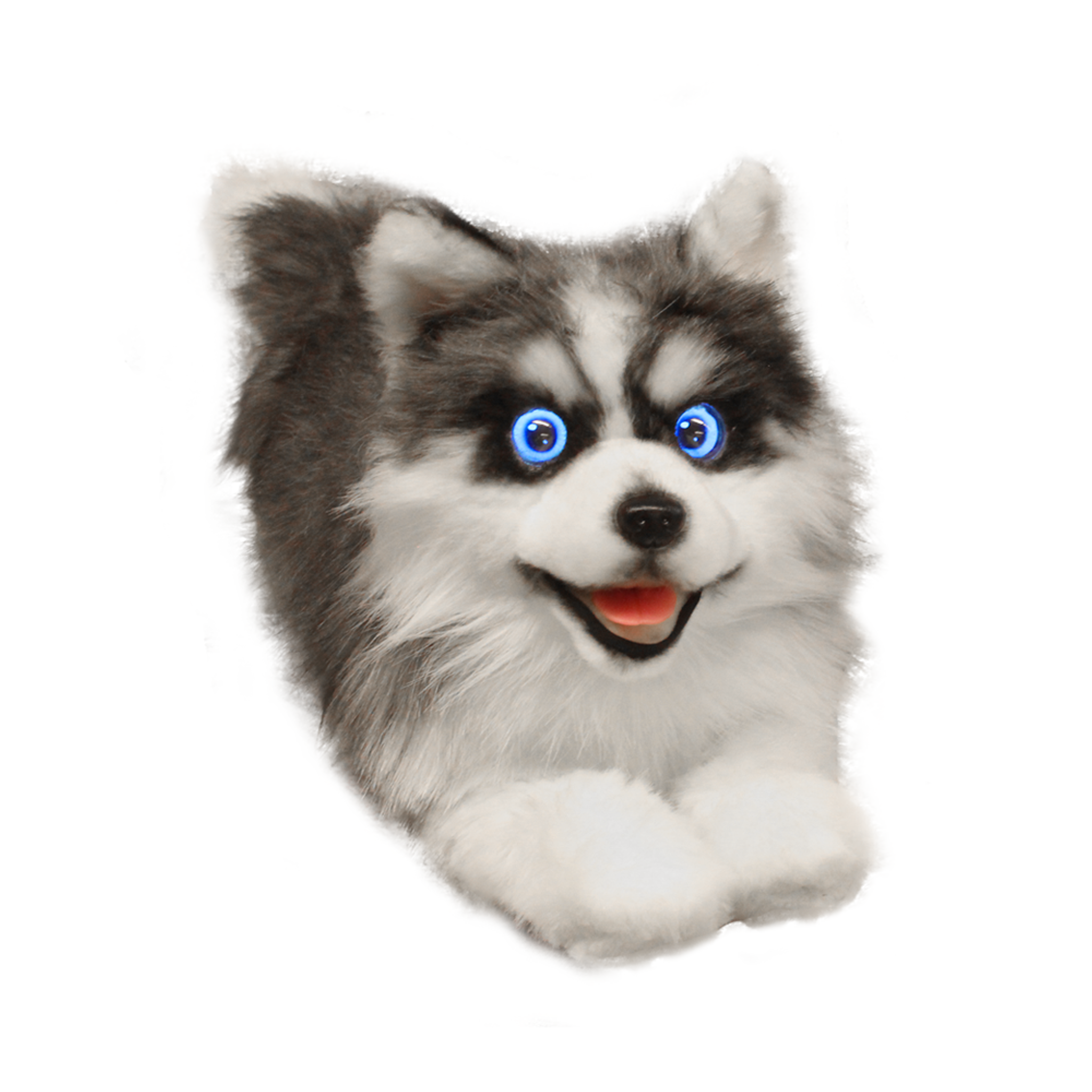 Elephant Robotics metaDog – Husky