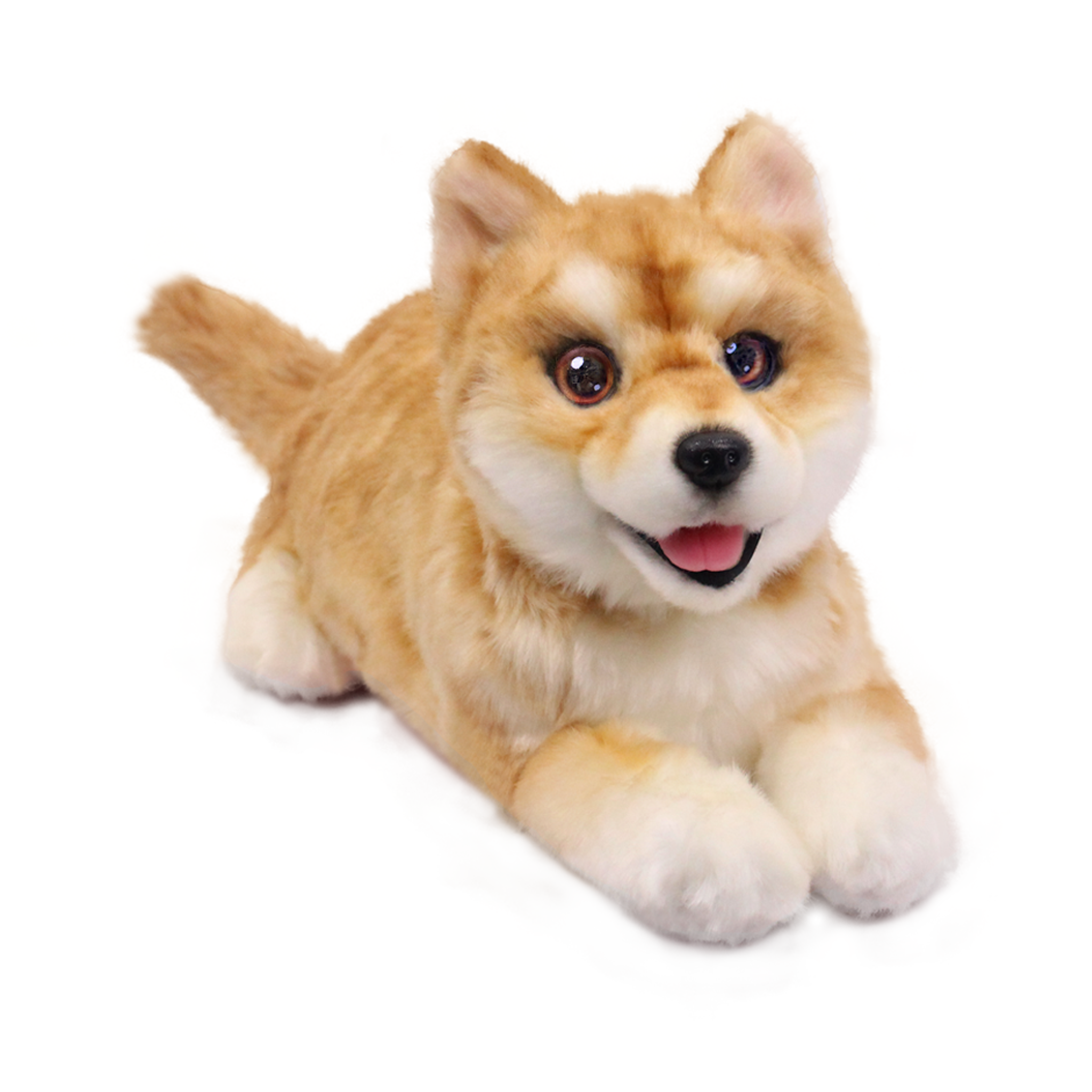 Elephant Robotics metaDog – Shiba Inu