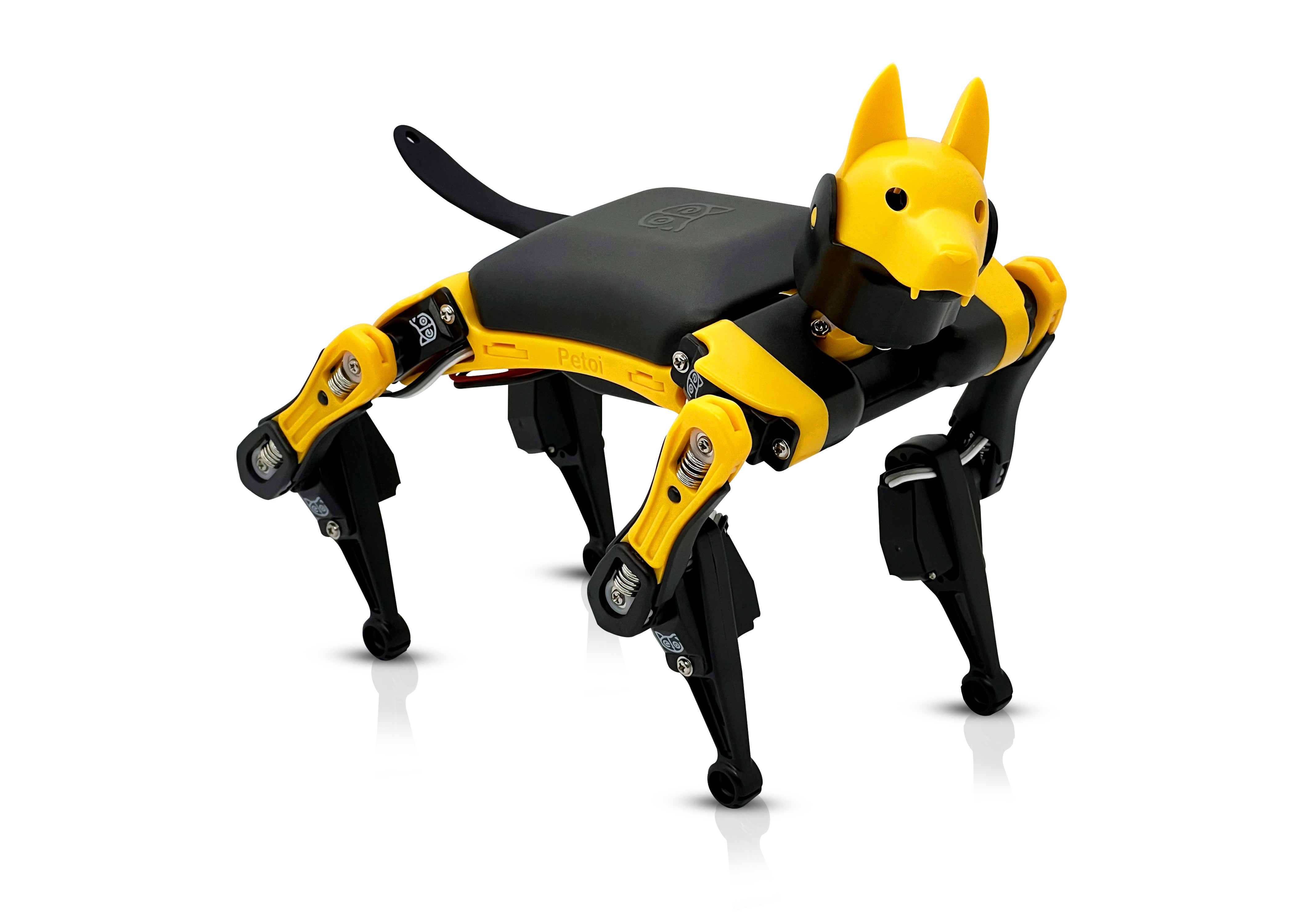 Petoi Bittle X Robot Dog